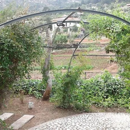 Villa Kizilbel Homes